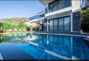 Zeus villa